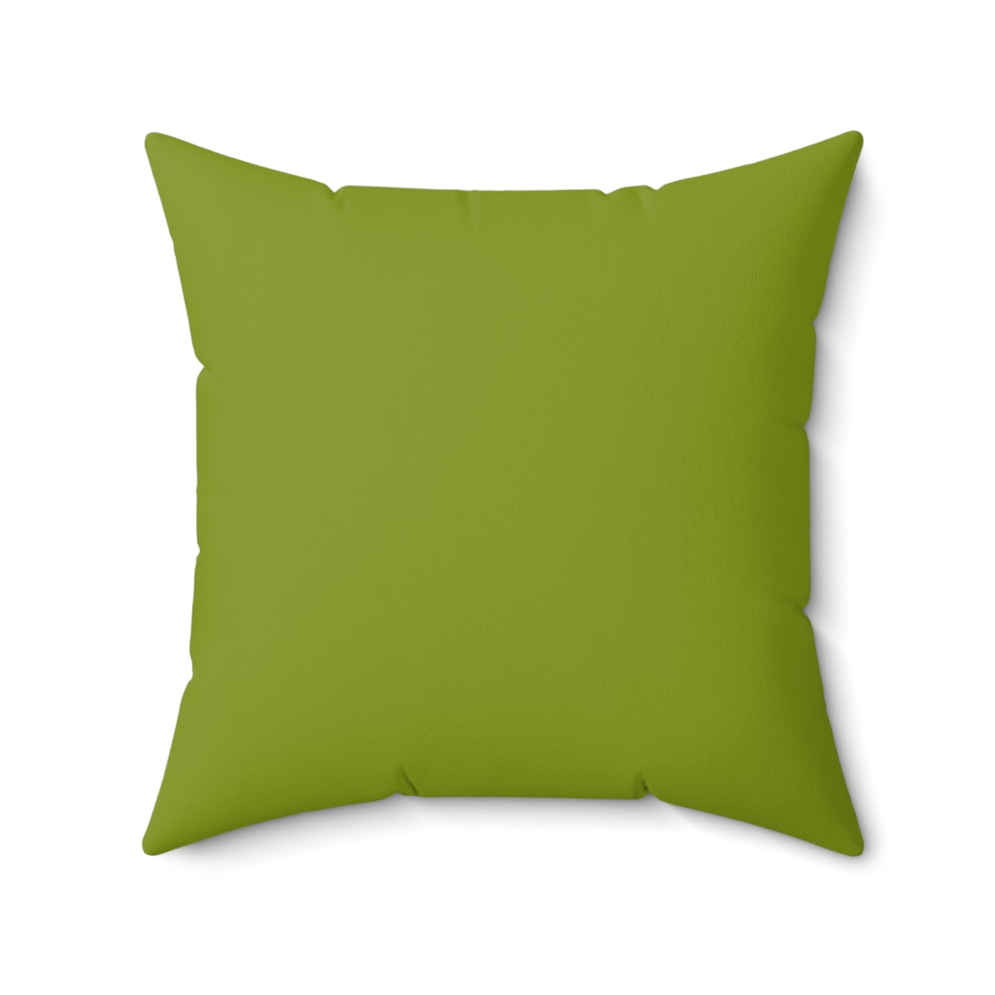 True Holiday Iguana Green Solids 20" Square Throw Pillow