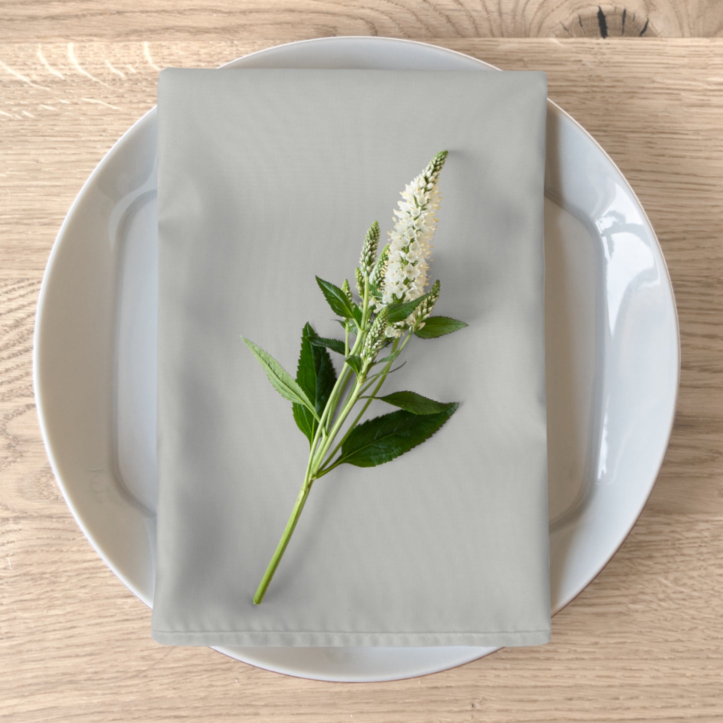 True Holiday Perspective Gray Solids Napkins