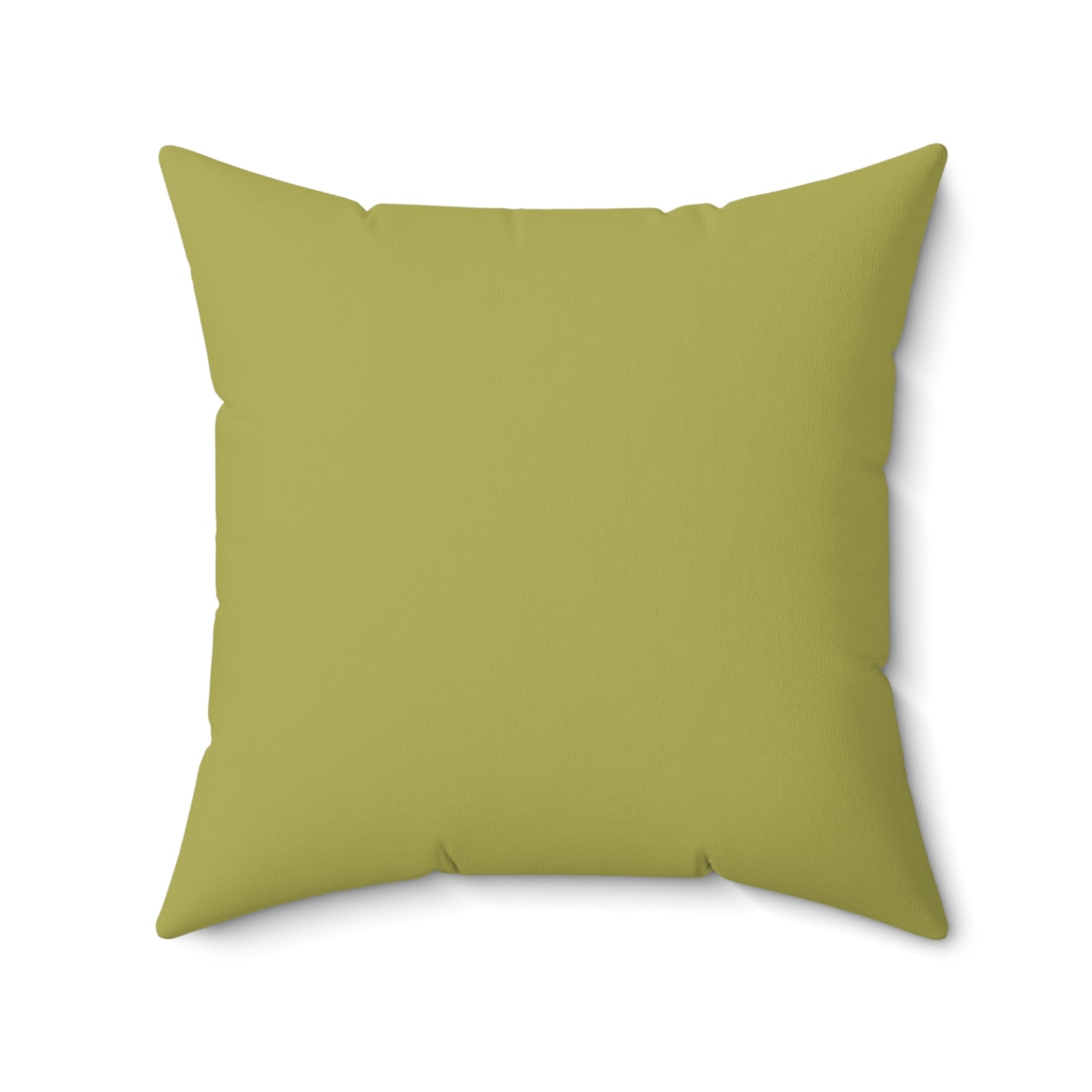 True Holiday Perennial Green Solids 20" Square Throw Pillow