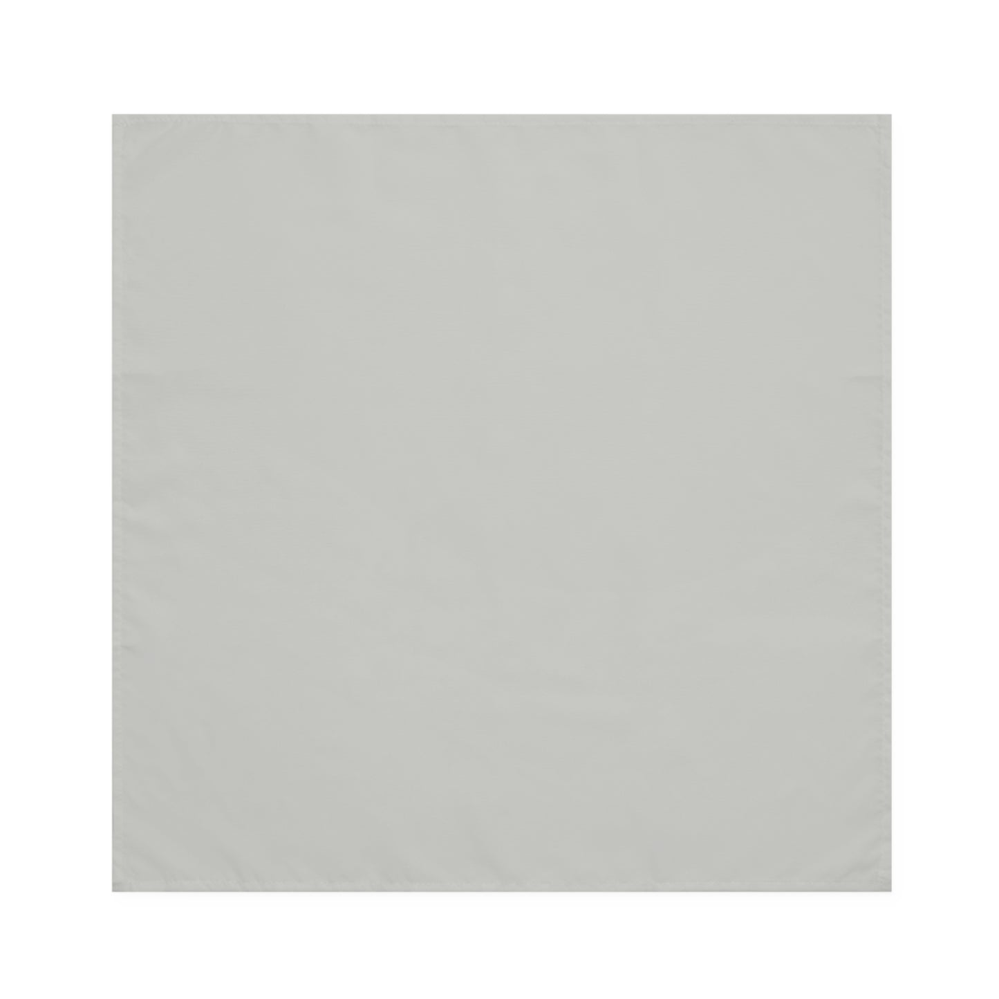 True Holiday Perspective Gray Solids Napkins