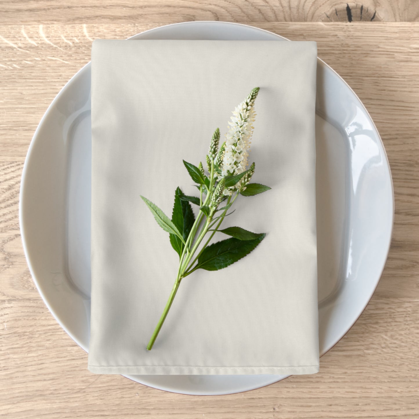 True Holiday White Dove White Solids Napkins