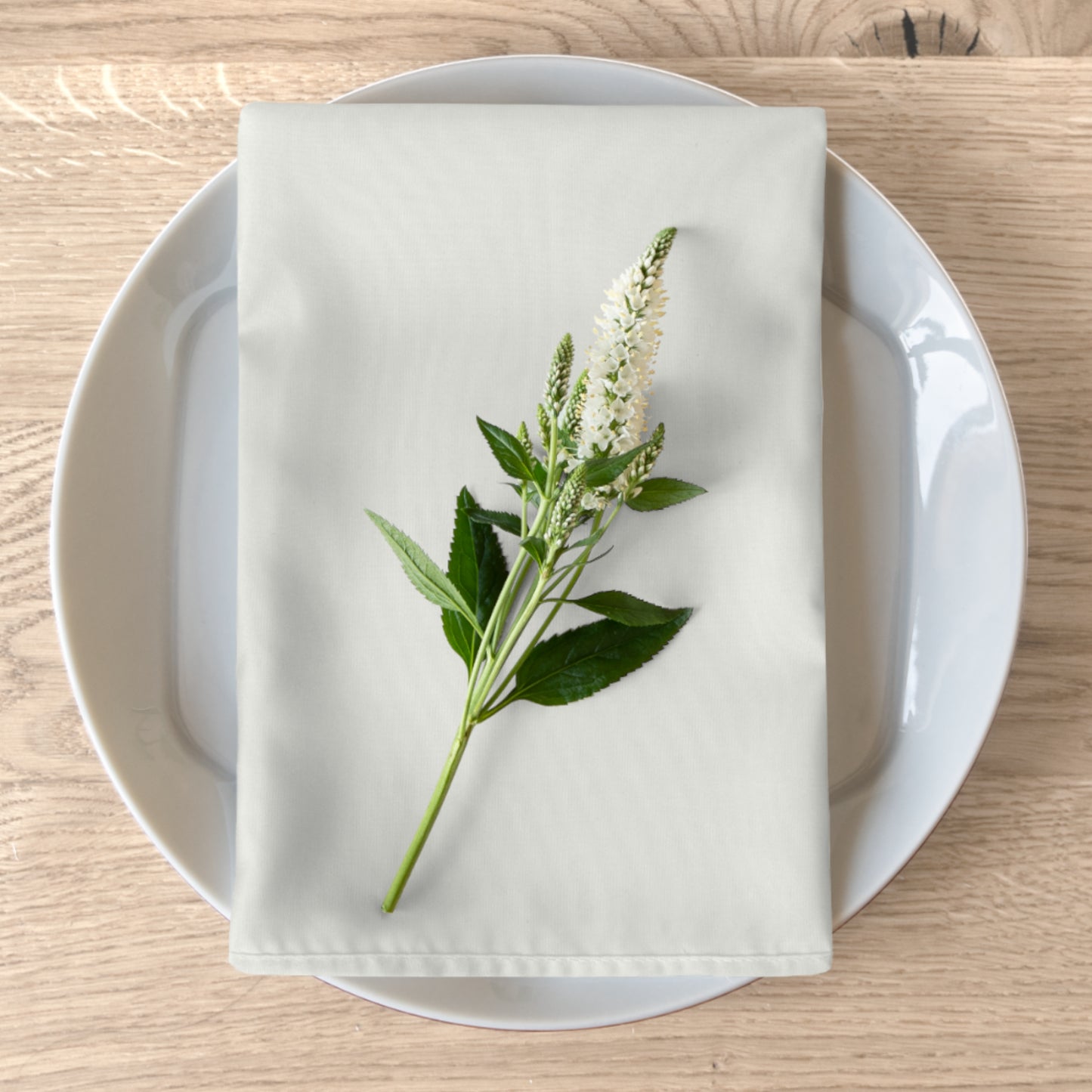 True Holiday White Heron White Solids Napkins