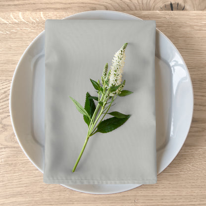 True Holiday Perspective Gray Solids Napkins