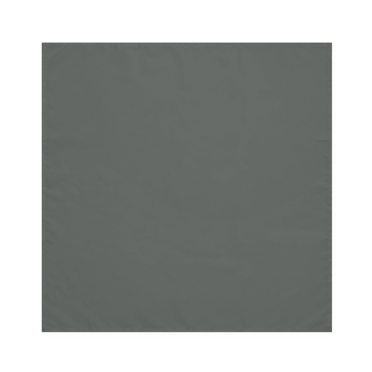 True Holiday Kitty Gray Gray Solids Napkins