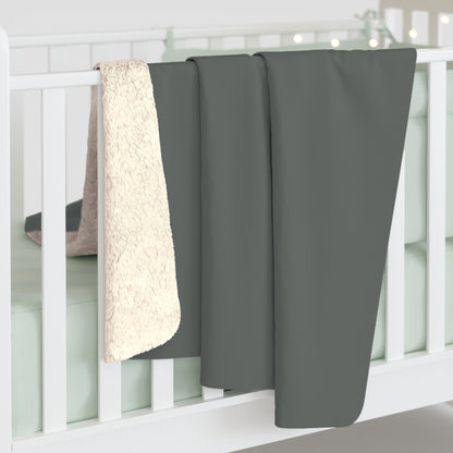 True Holiday Kitty Gray Gray Solids Throw Blanket